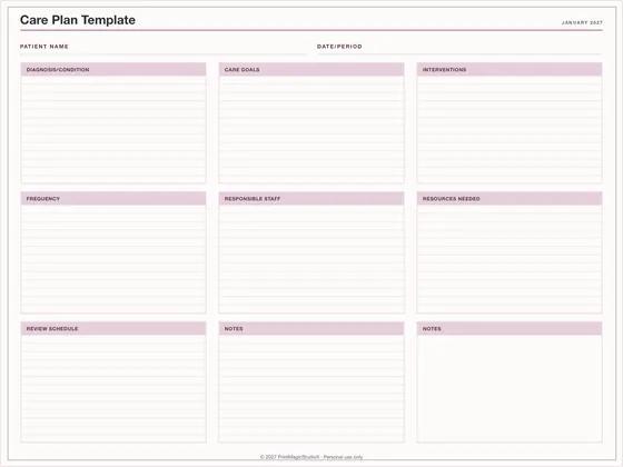 Care Plan Template: One-page planner template for GoodNotes, iPad and print