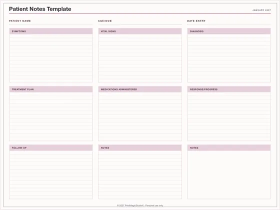 Patient Notes Template: One-page planner template for GoodNotes, iPad and print